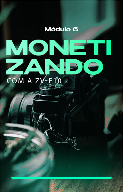 Modulos-Sony-ZVE107.jpg